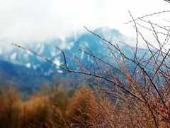 -硗碛藏寨·神木垒景区