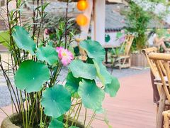-伴山茶苑·围炉煮茶