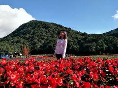 -广州市石门国家森林公园