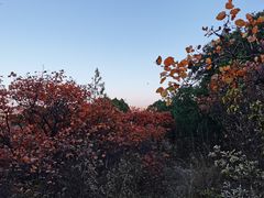 -北京西山国家森林公园