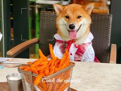 -Shanghai Brew House上海啤酒工坊(老外街店)