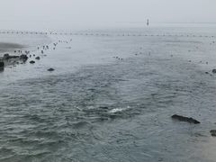 -深圳湾公园(南山区)