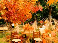 -HERRE·FARM 赫尔露营农场·团建聚会包场