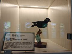 -广州市帽峰山景区