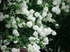 -杭州城北体育公园