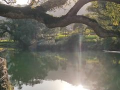 -上坦村