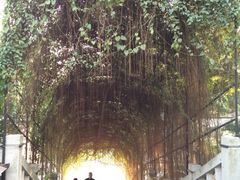 iphone_upload_pic-乌山风景区