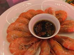 -北京首都机场希尔顿酒店