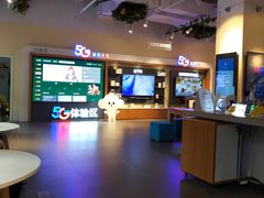 -中国电信(大钟亭营业厅)