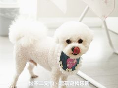 -趣玩宠物乐园寄养训犬训狗游泳池