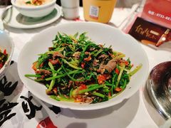 -壹盏灯(惠农店)