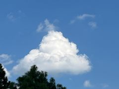 -山王坪喀斯特国家生态公园
