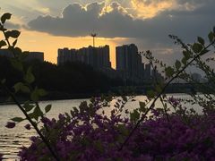 -光明港公园