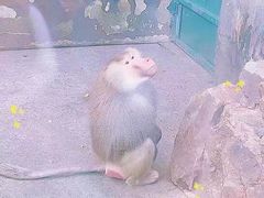 -无锡动物园·太湖欢乐园
