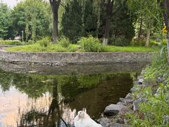 -望湖公园
