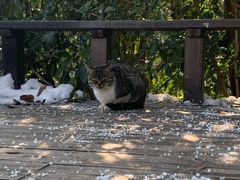 -天目湖涵田半山温泉