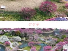 -花开海上生态园