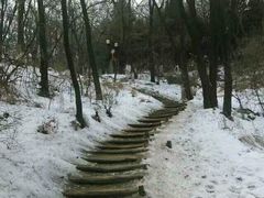 -高尔山公园