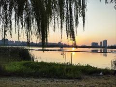 -金银湖国家城市湿地公园