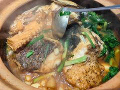 -九道菜有鸡鱼头(石鼓路店)