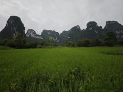 -明仕田园