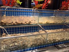 -松咖啡自助餐厅·松北香格里拉