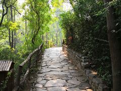 -井塘古村