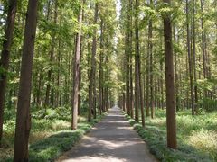 外景-上海怡沁园度假酒店