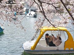 -井之头恩赐公园
