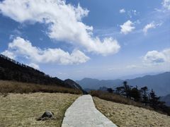 -朱雀国家森林公园