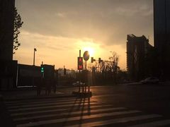 -重庆市江北嘴中央商务区中央公园