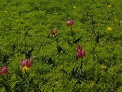 -长春公园(普阳街道)