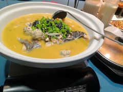 鲟鱼-天怡·鱼工厂(梅溪湖店)