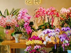 -花神·轻食简餐·咖啡馆·花卉绿植(荷兰花卉小镇店)