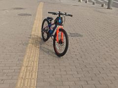 -道路口单车爱瓦士dahon大行