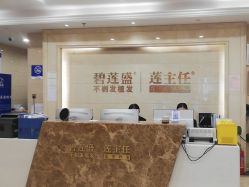 -碧莲盛·不剃发植发