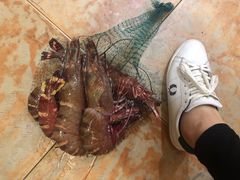 -盛港湾海鲜食府(黄沙店)