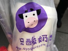 -一只酸奶牛(八一路店)