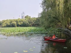 -长春市南湖公园