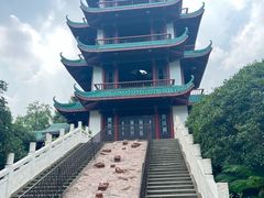 -桂湖森林公园