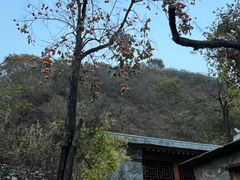 -水峪民俗村