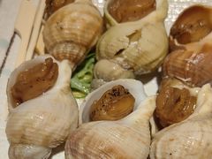 冰镇酱渍海螺-德川家日本料理(中关村寰太大厦店)