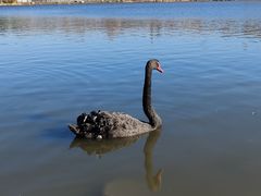 -长春市南湖公园