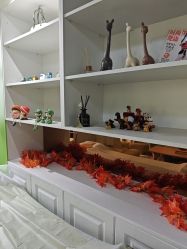 -变美丽半永久纹眉连锁·机器野生眉•洗眉