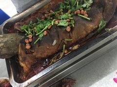 -同济大排档