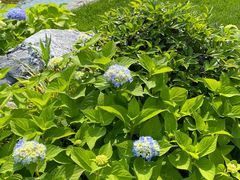 -浙江宾馆·花园餐厅·自助餐厅·茶吧