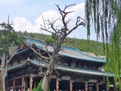 -晋祠公园