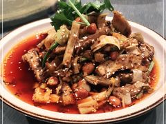 -院8里·少城记忆老川菜(宽窄巷子店)