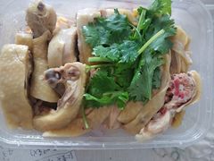 -九斤黄三黄鸡专卖店