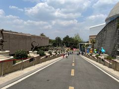 -自贡恐龙博物馆